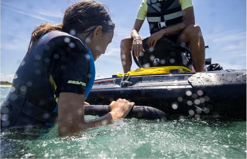 Sea-Doo New OEM, Retractable Spring-Loaded Boarding Ladder