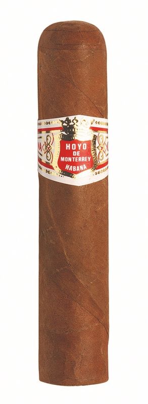 Hoyo de Monterrey Petit Robusto