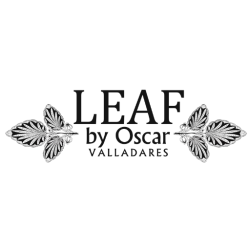 Leaf by Oscar Valladares