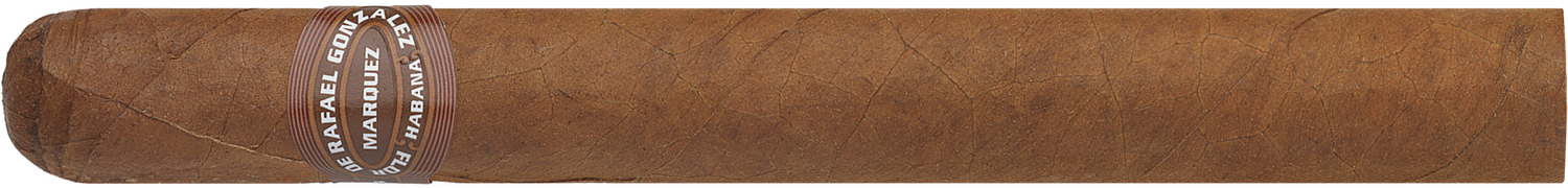 Rafael Gonzalez Panetelas Extra, Size: Single Cigar