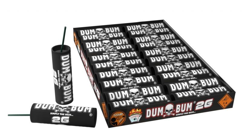 DumBum 2G Edition P1 (identisch mit PS2)