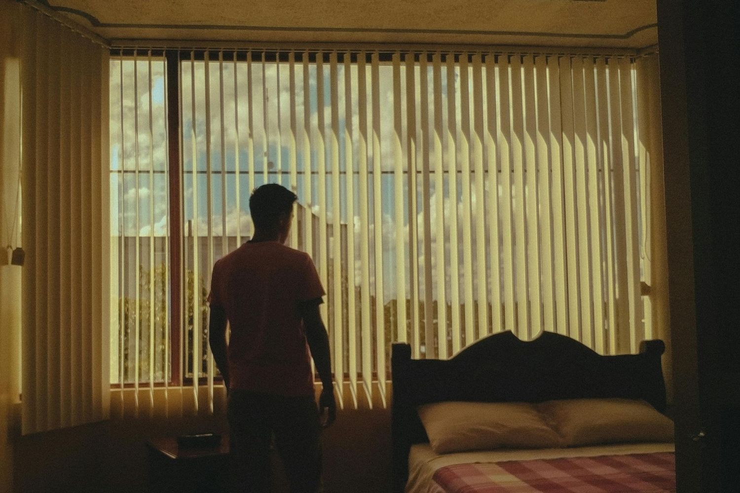 Faux Wood Blinds