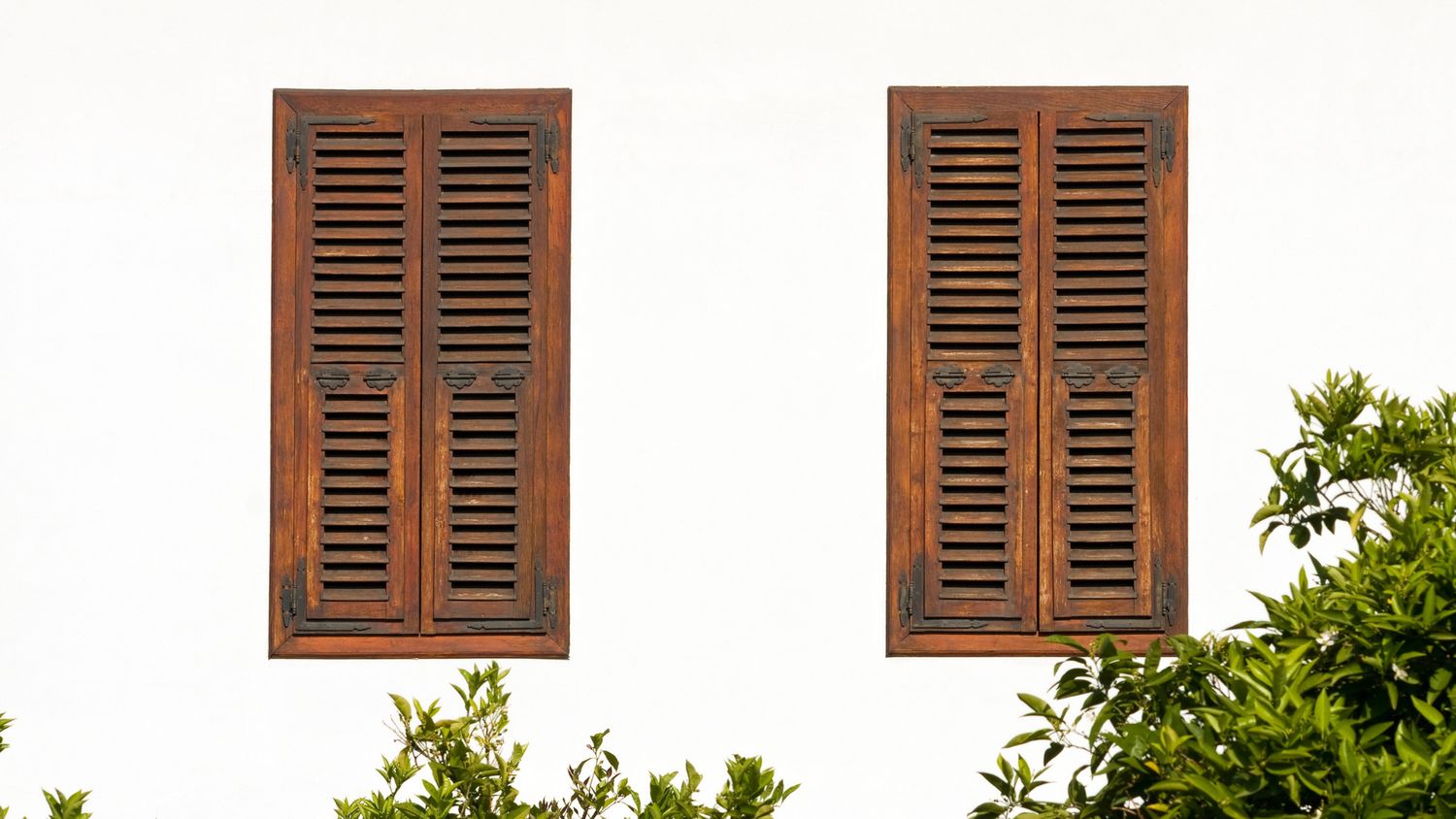 Wood Shutters