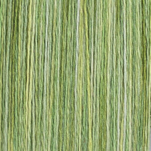 PRIVET 6