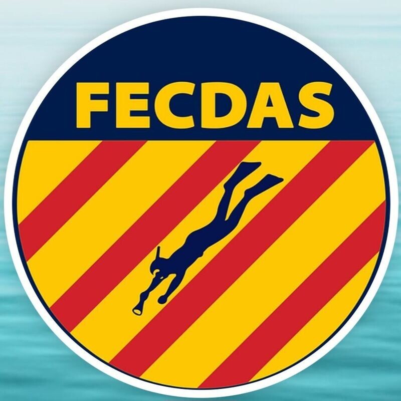 Licencia Federativa anual 365 días (incluye seguro de buceo internacional)