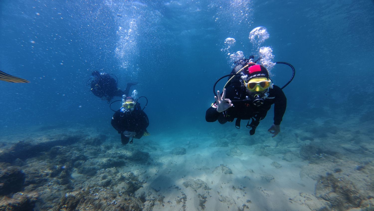 Scuba Discovery