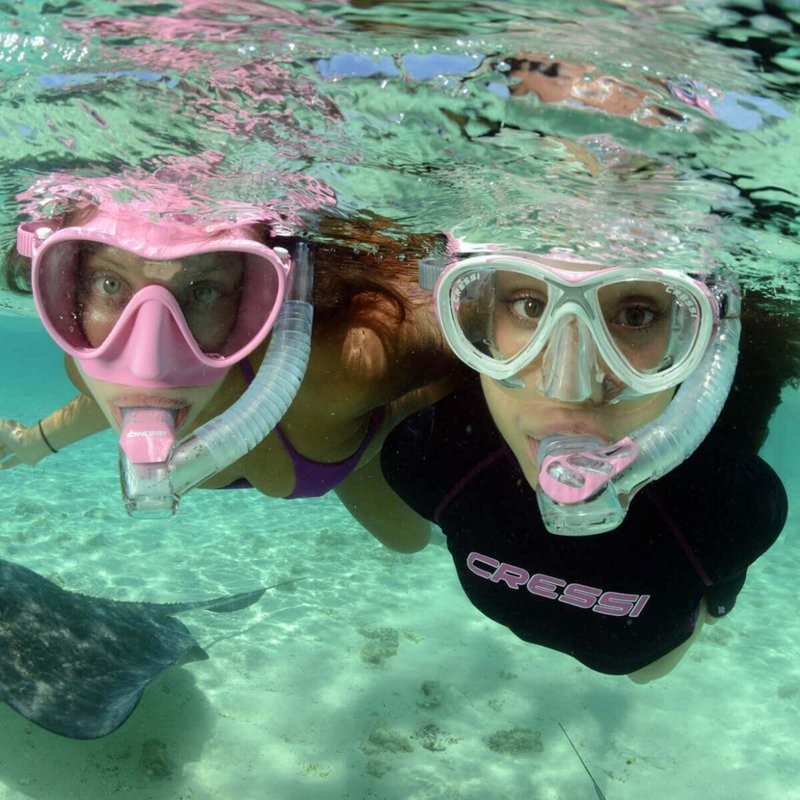 Salida guiada de Snorkel