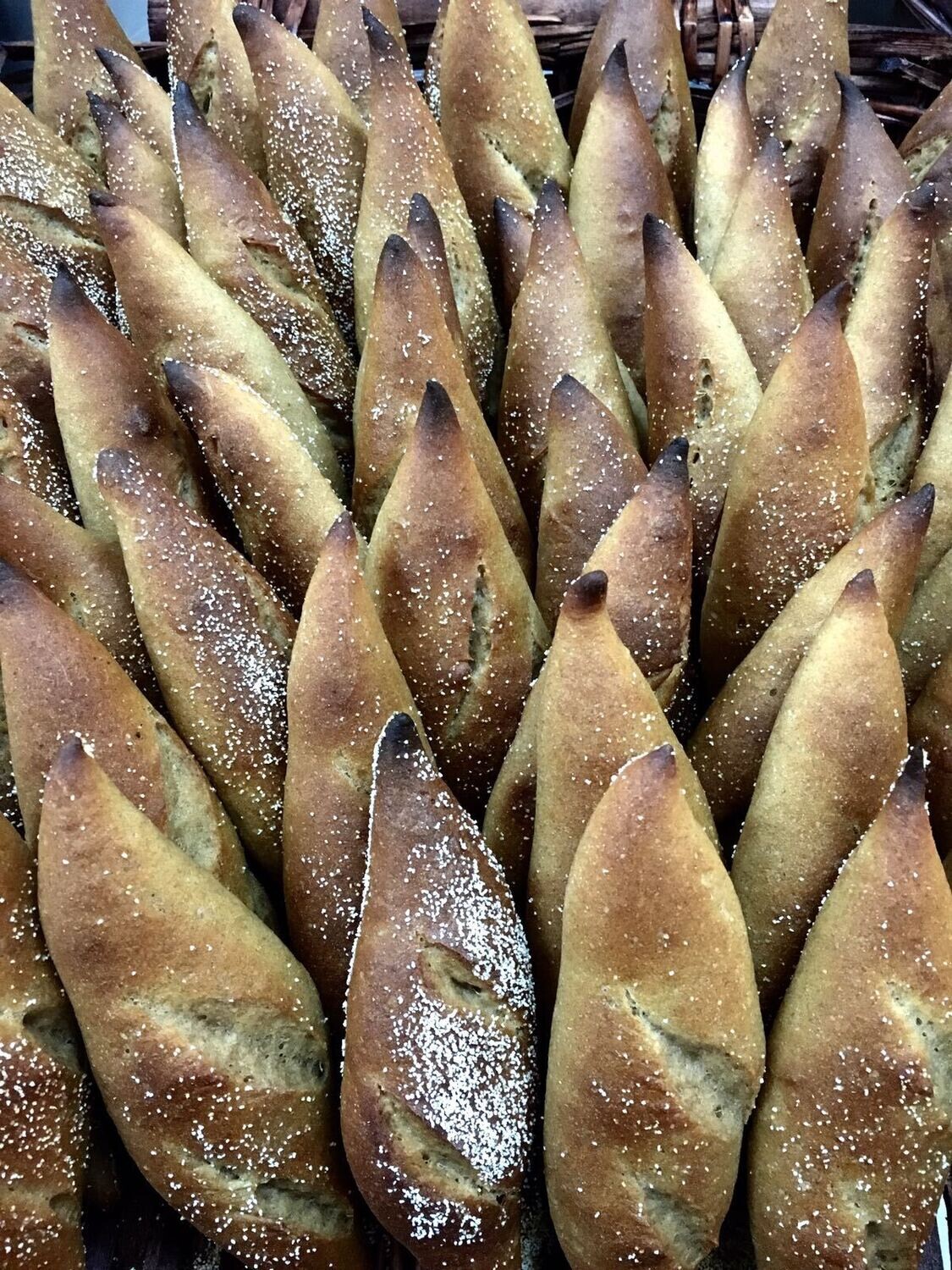 19.8.2025  שאור ומחמצת למתחילים, עם סער מור