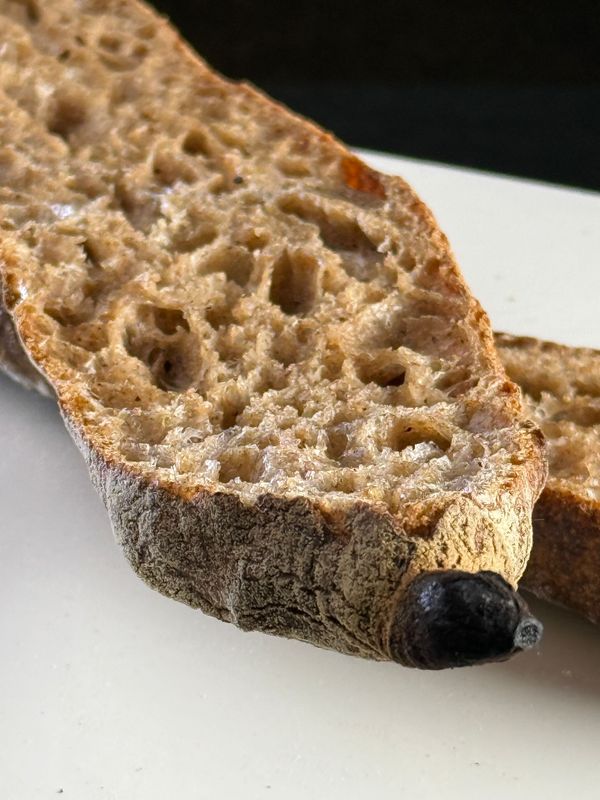 16.2.2026 ,סדנת בגטים עם נעה ברויאר