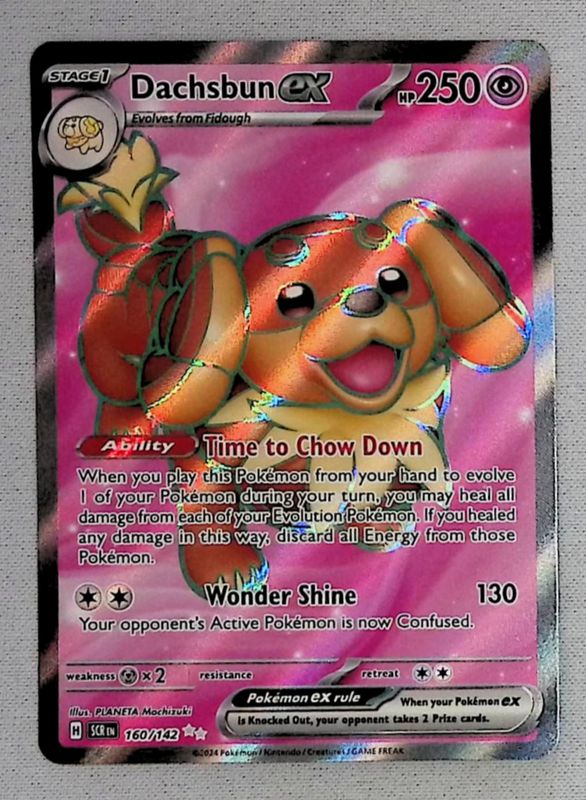 Dachsbun ex - 160/142