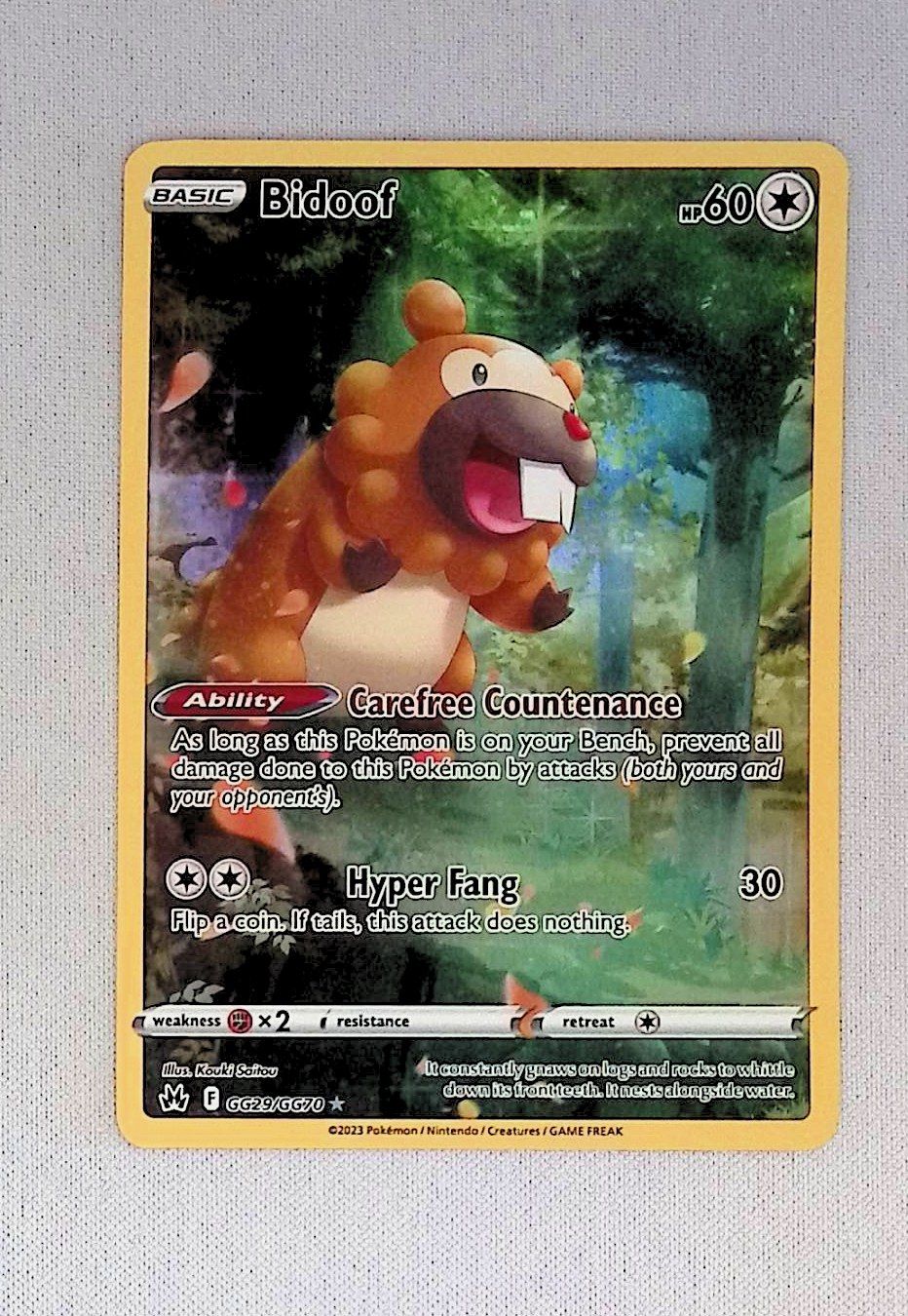 bidoof  gg29/gg70