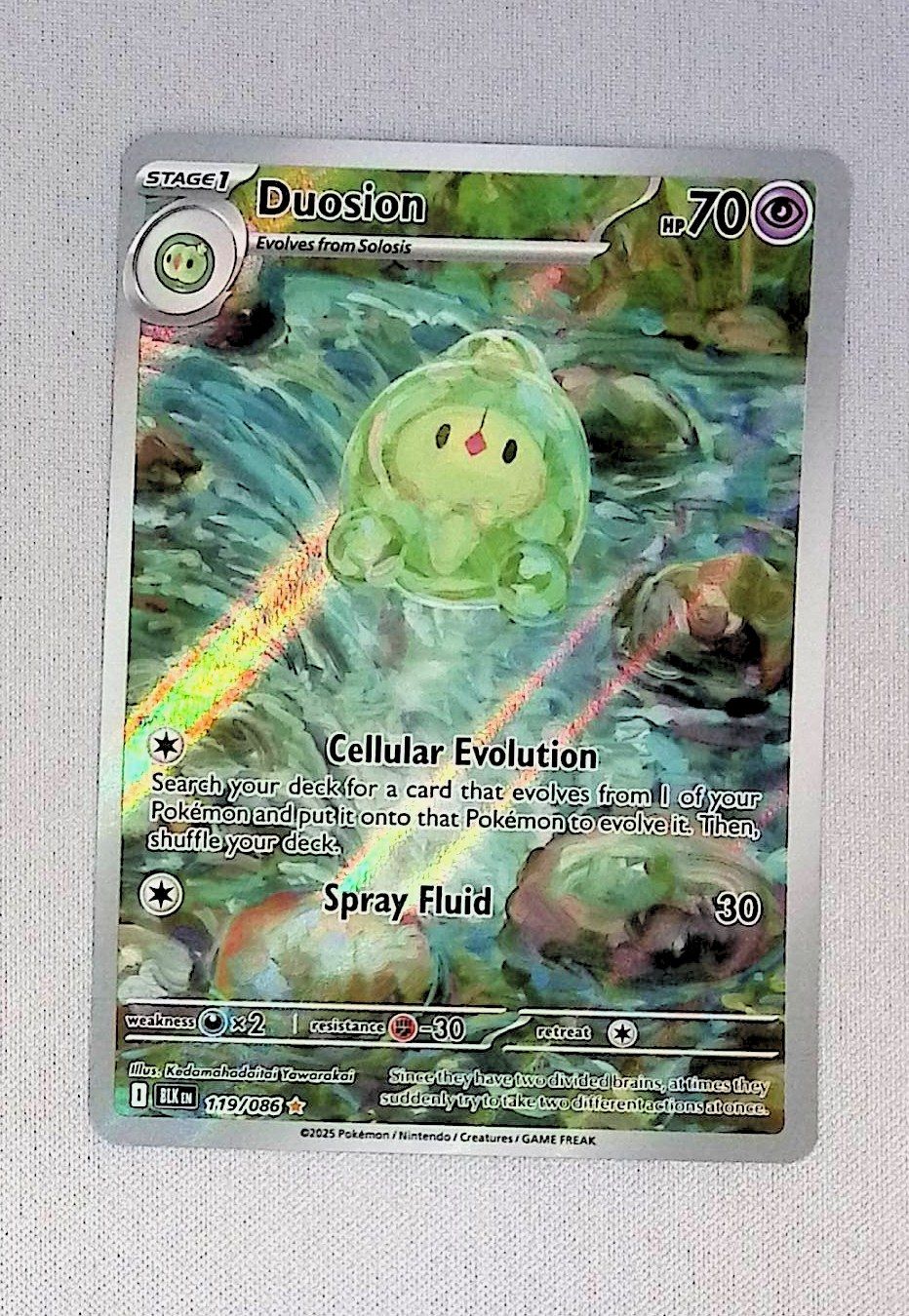duosion - 119/086
