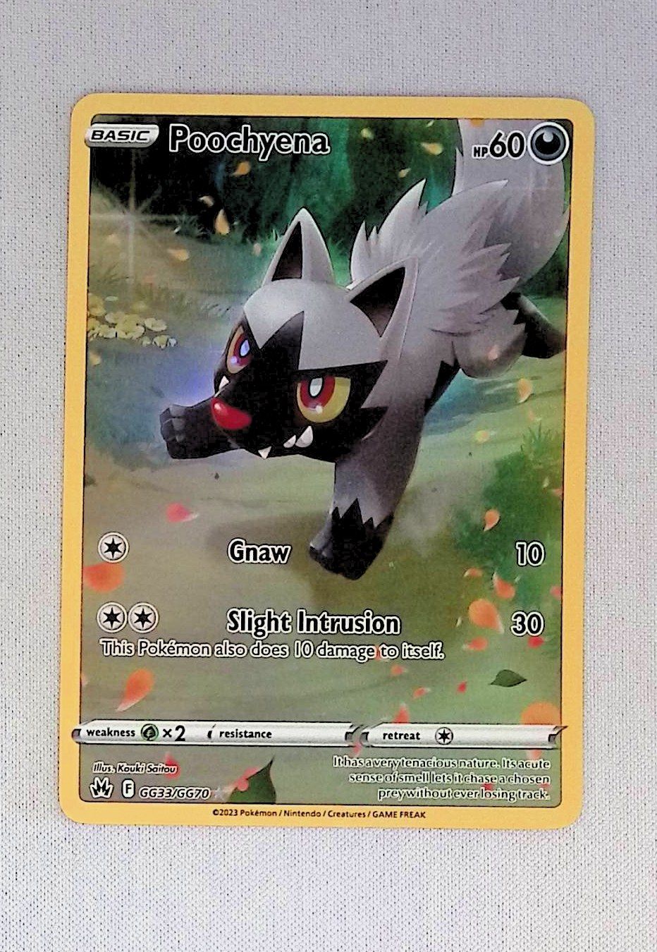 poochyena  gg33/gg70