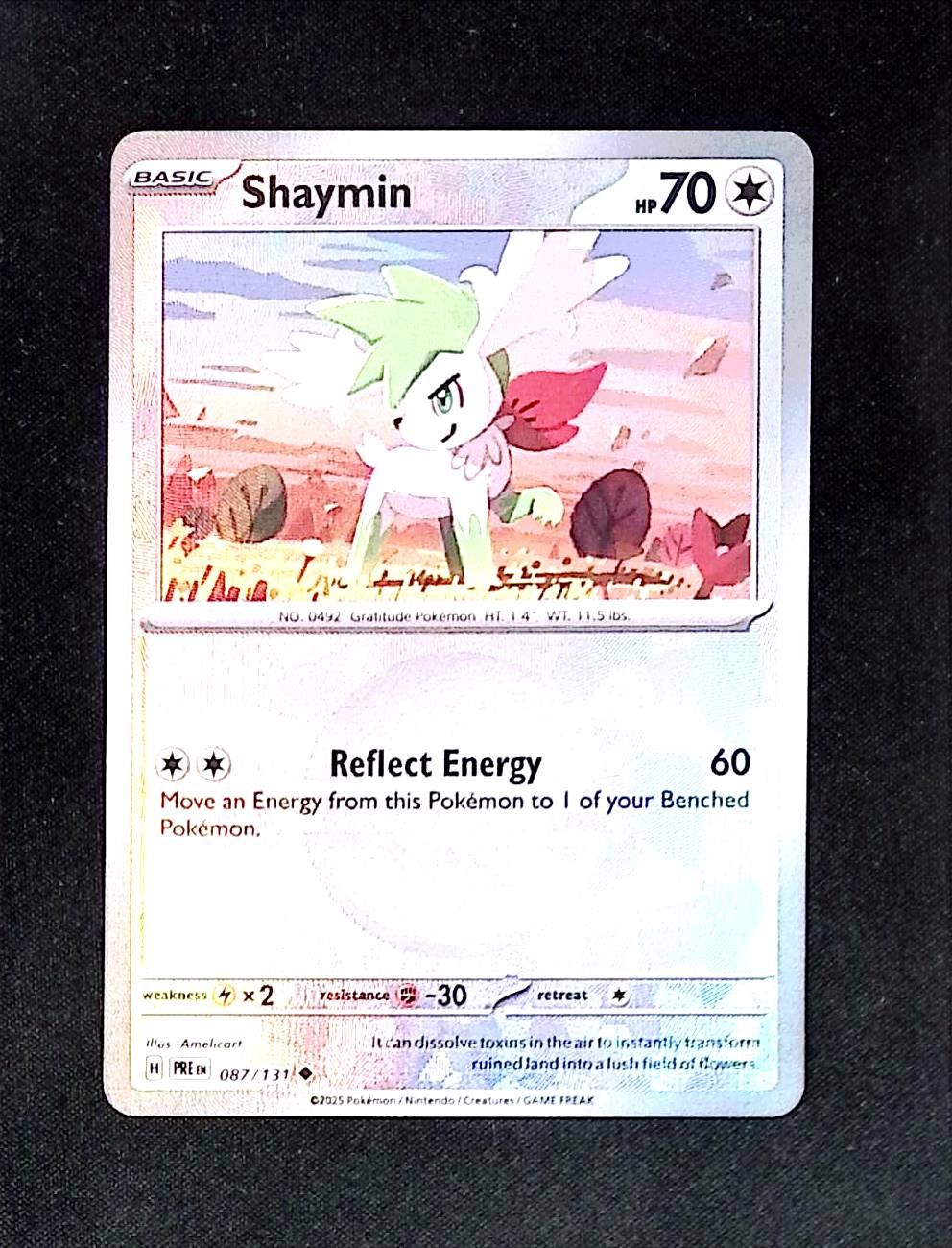 Shaymin (Poke Ball Pattern)