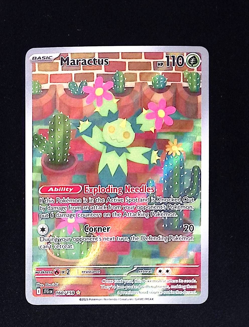 Maractus - 160/159