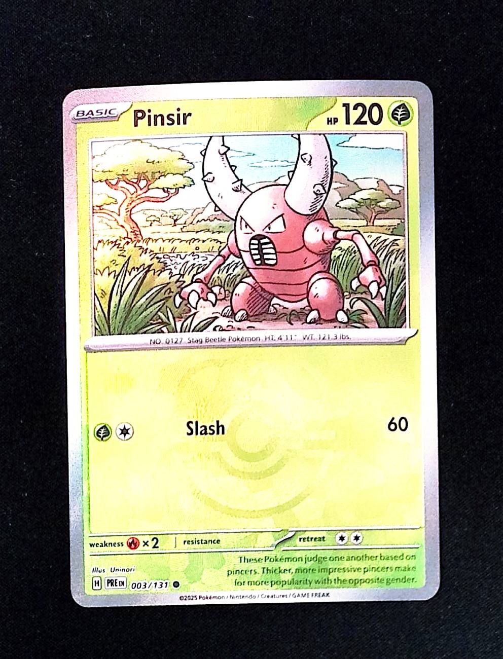 Pinsir (Master Ball Pattern)