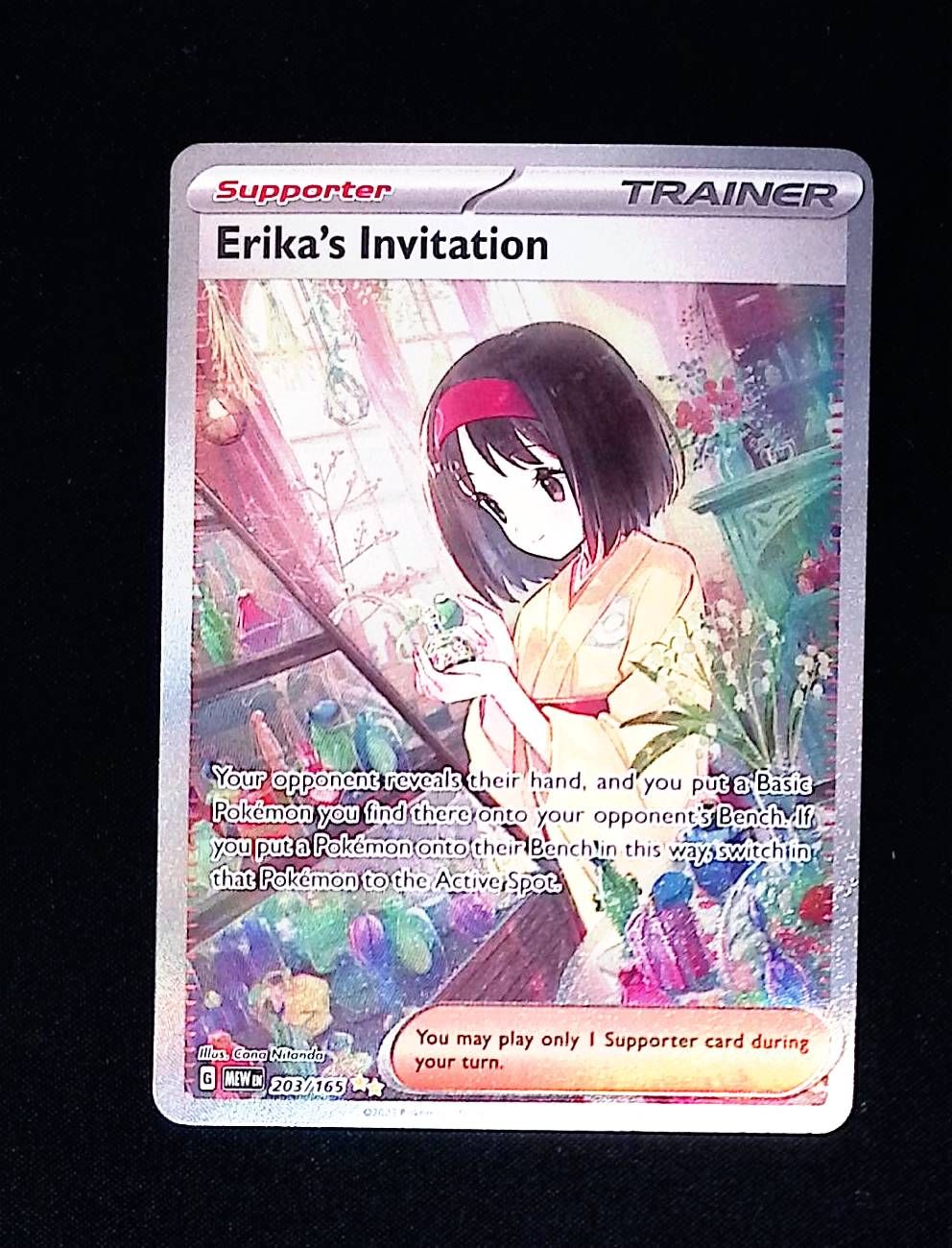 Erika's Invitation - 203/165