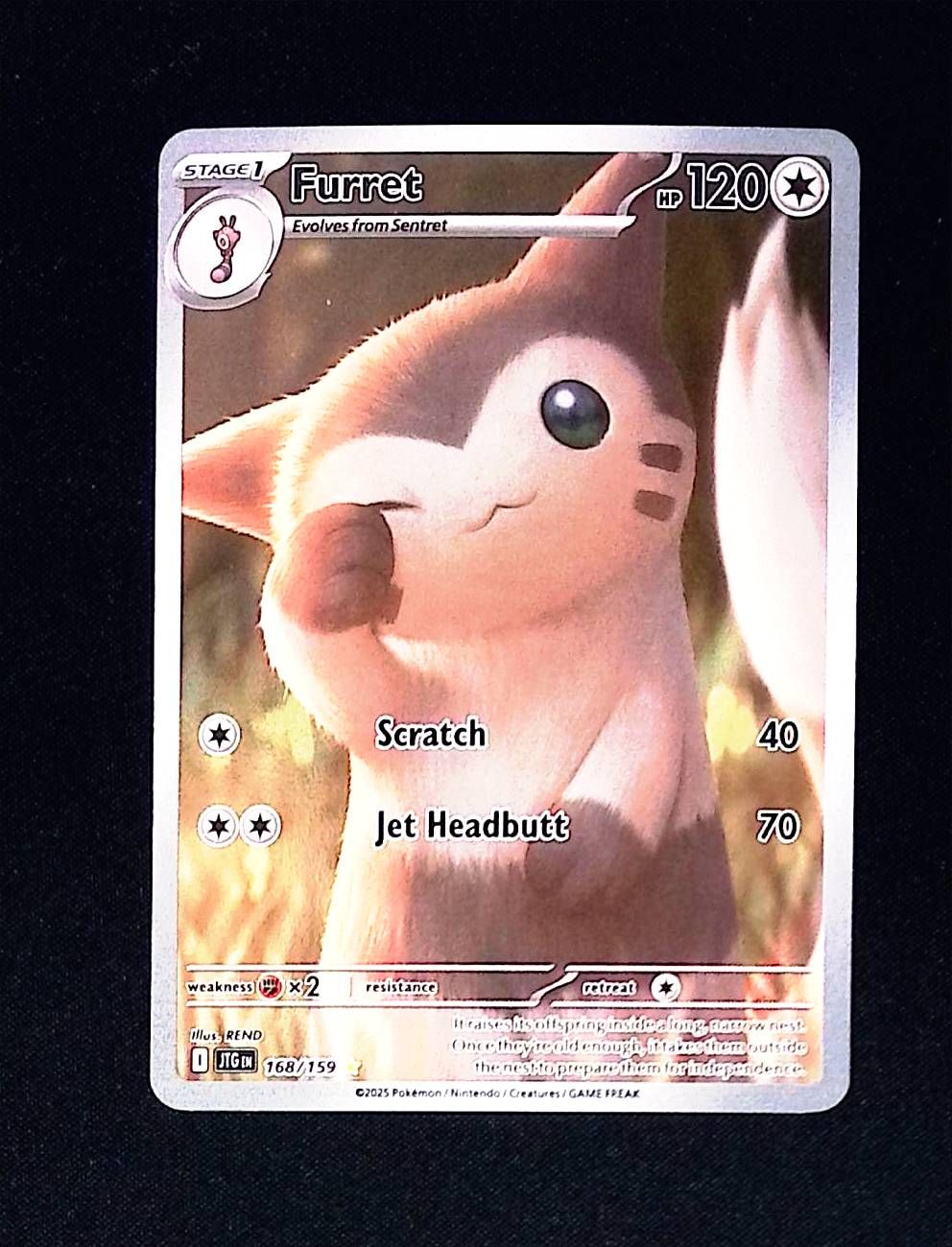 Furret - 168/159