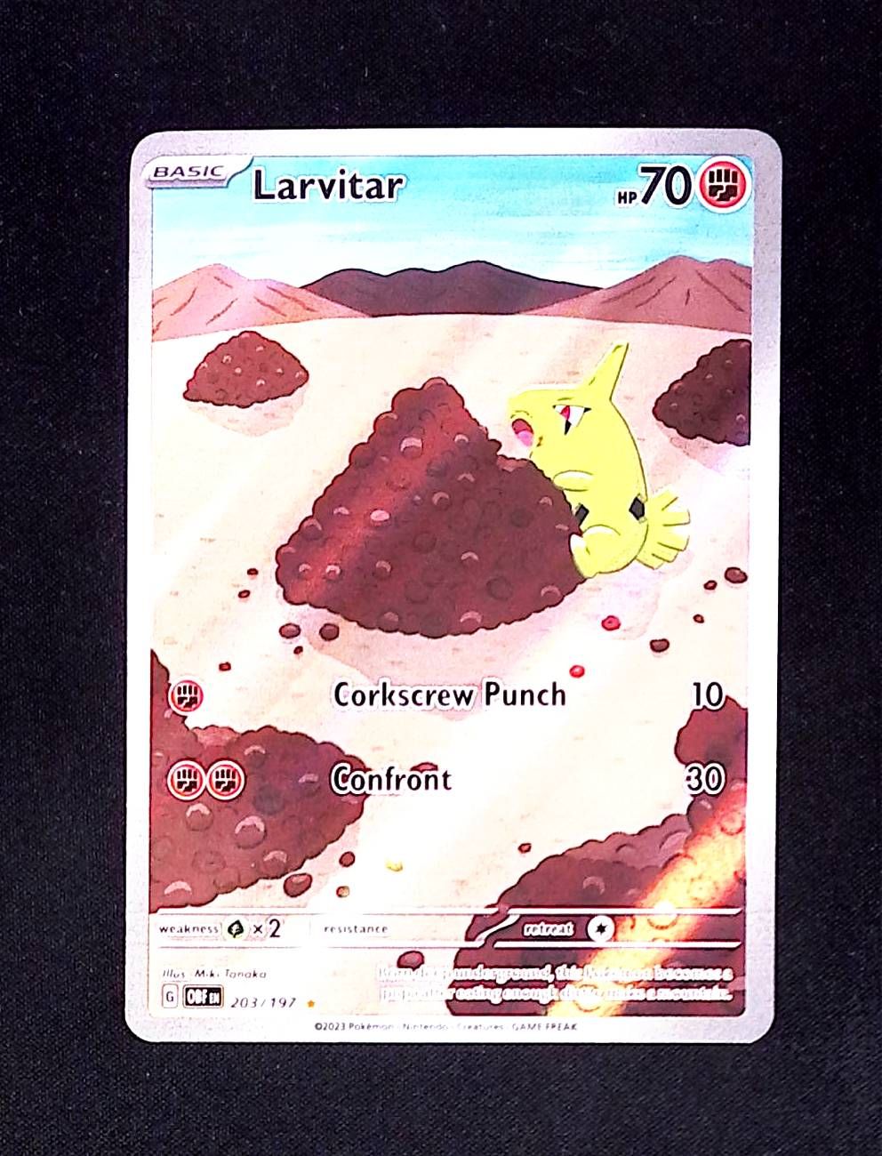 Larvitar - 203/197
