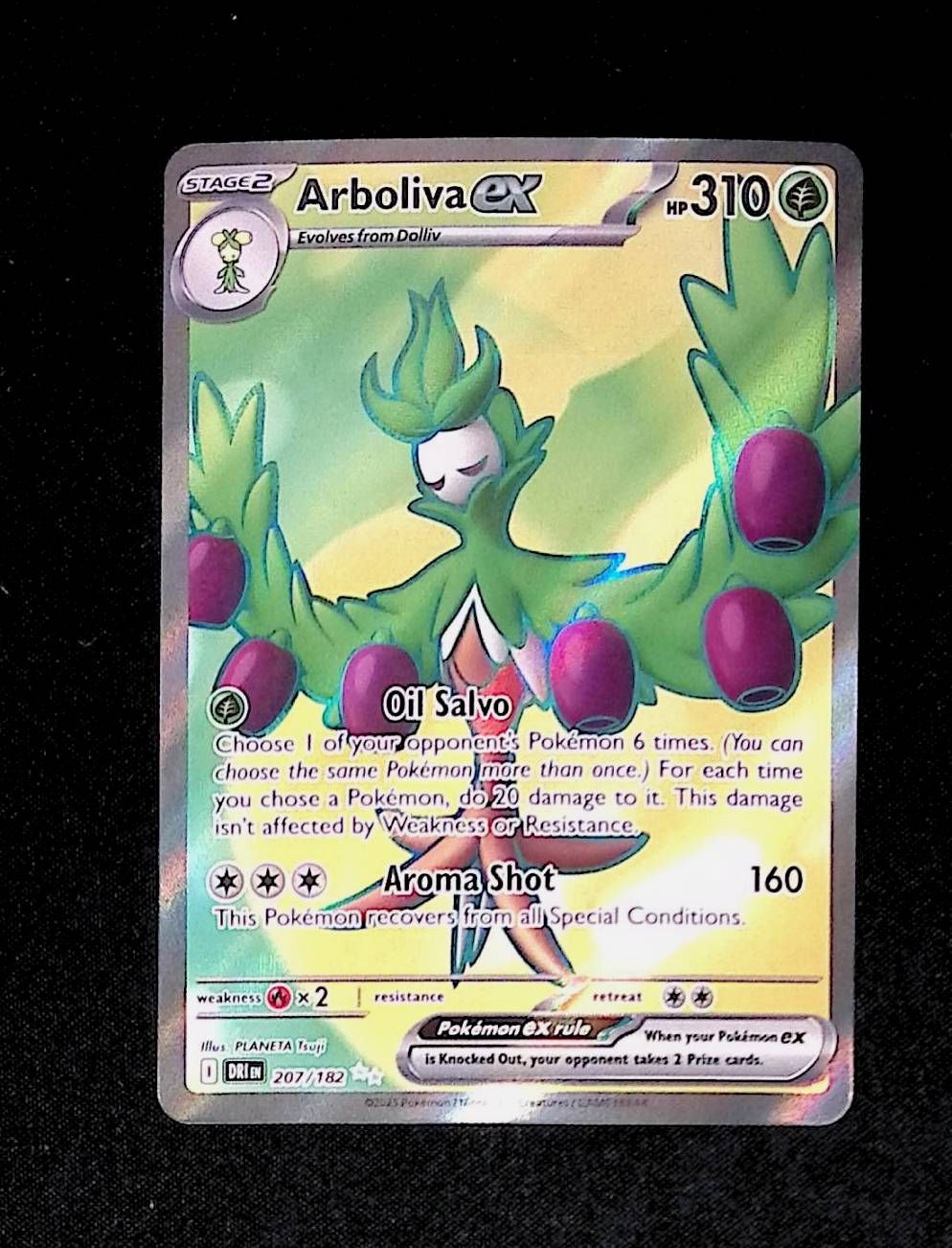 Arboliva ex - 207/182