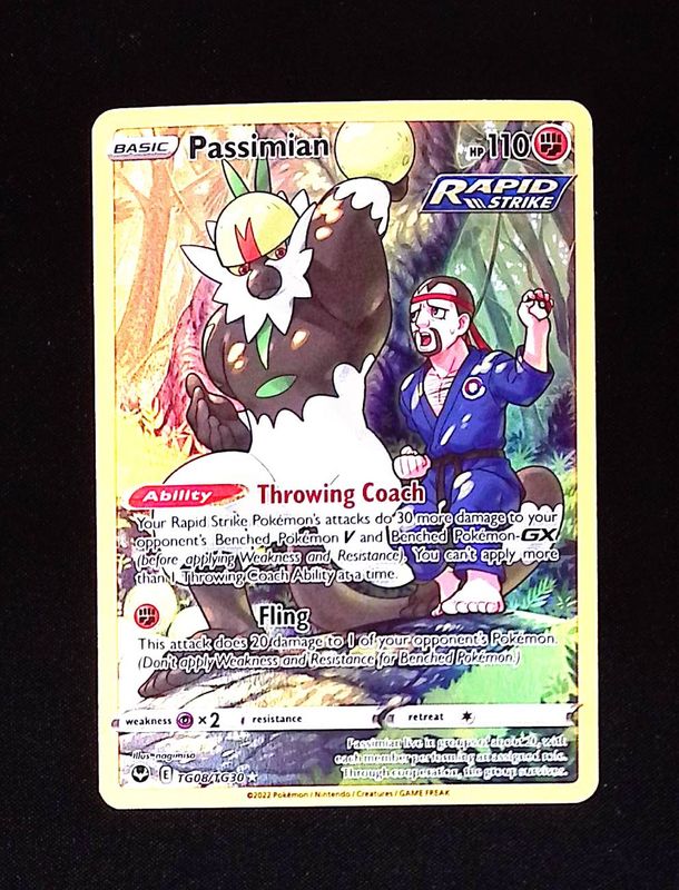 Passimian (ST, TG)