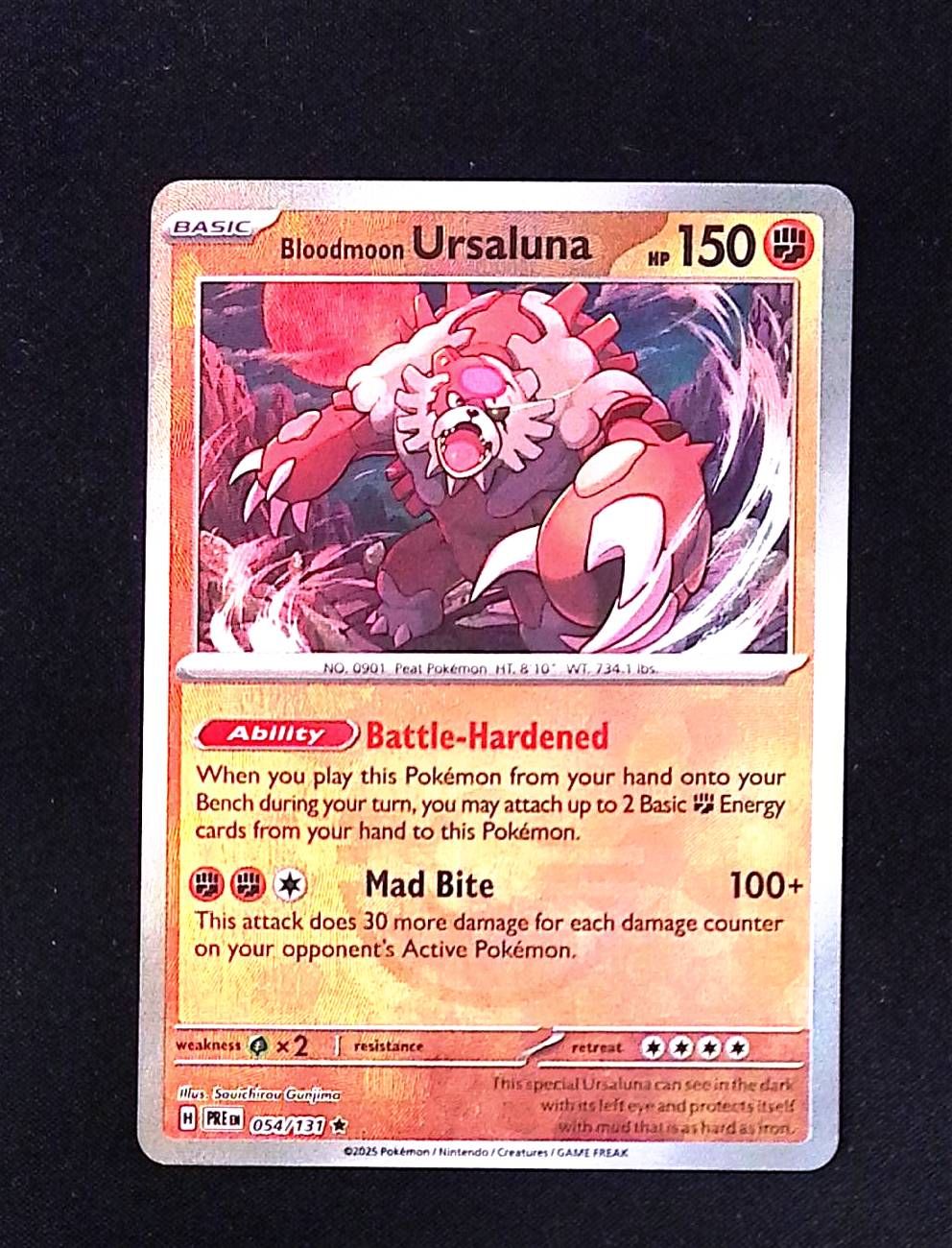 Bloodmoon Ursaluna (Poke Ball Pattern)