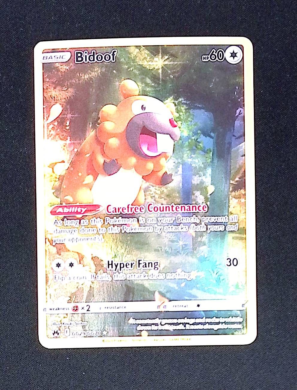 Bidoof (CZ, GG)