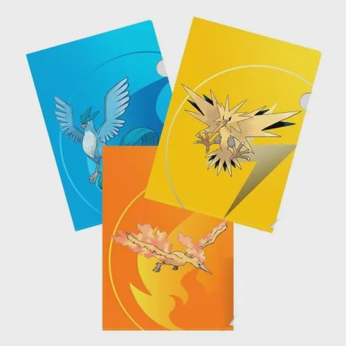 Tournament folio 3pk