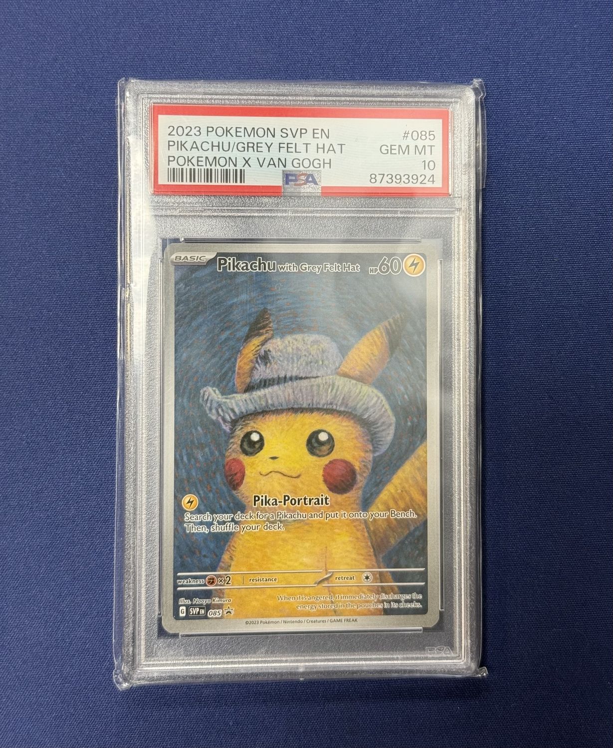Pikachu with Grey Felt Hat
