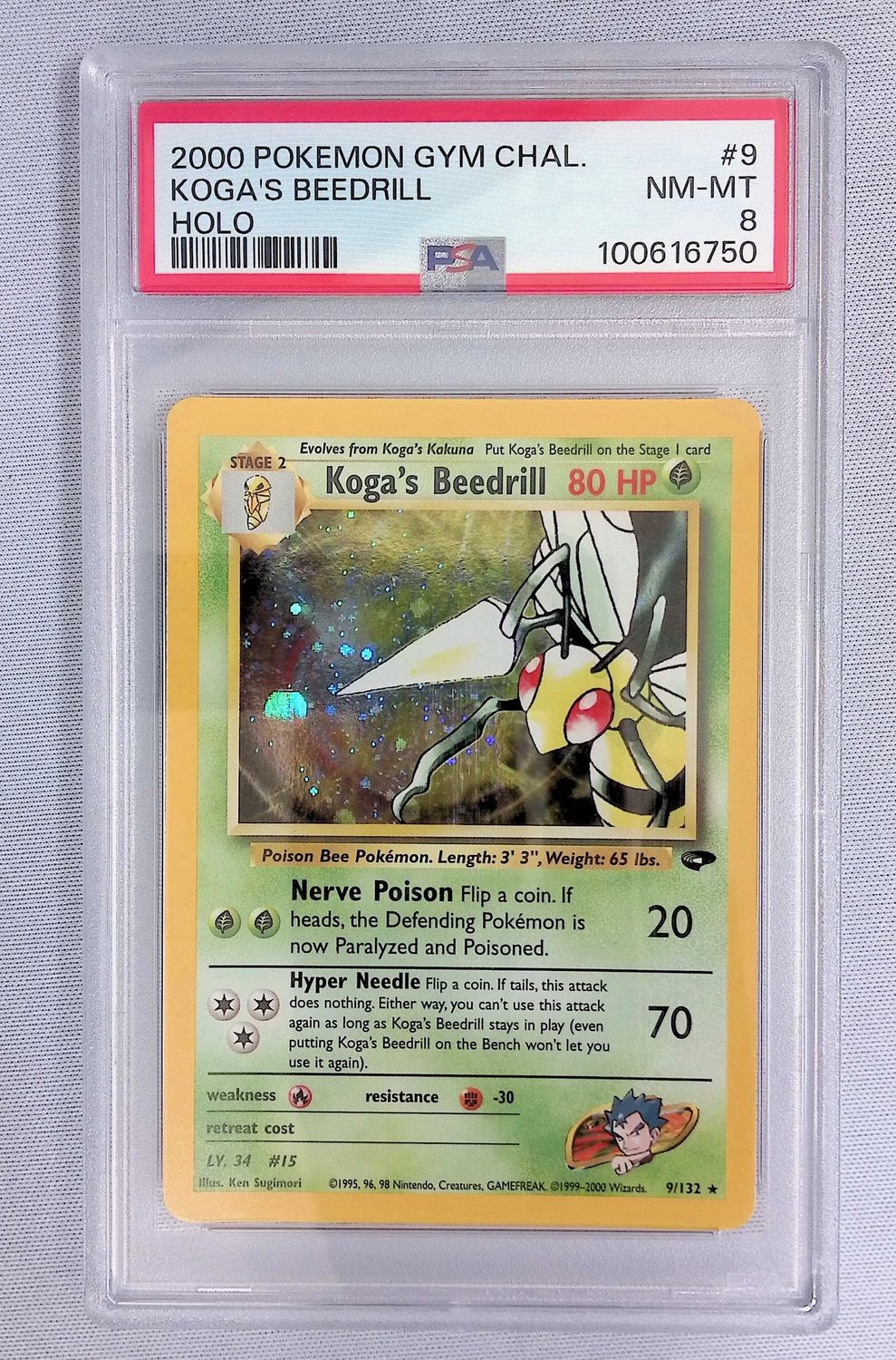 Koga's Beedrill - Gym Challenge