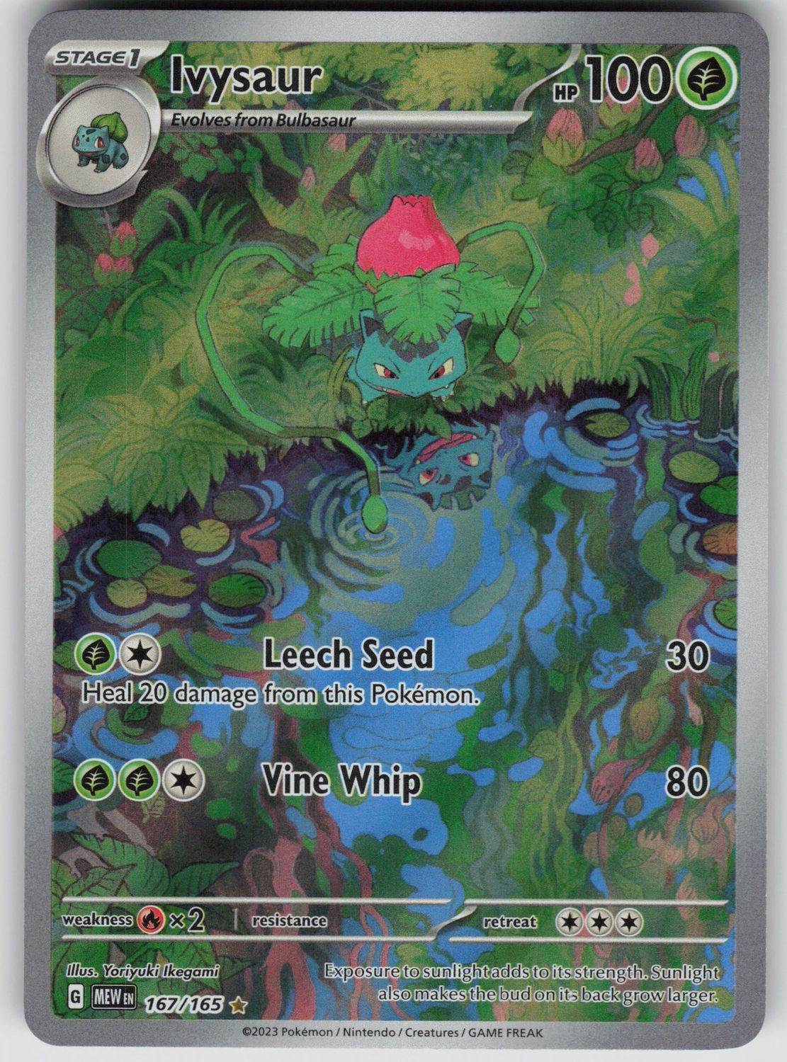 Ivysaur 167 /165