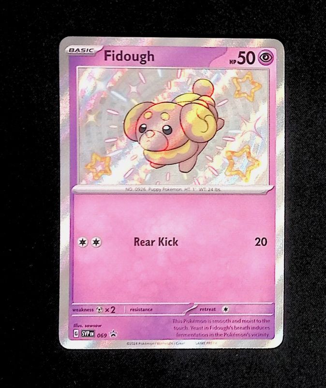 Fidough--069