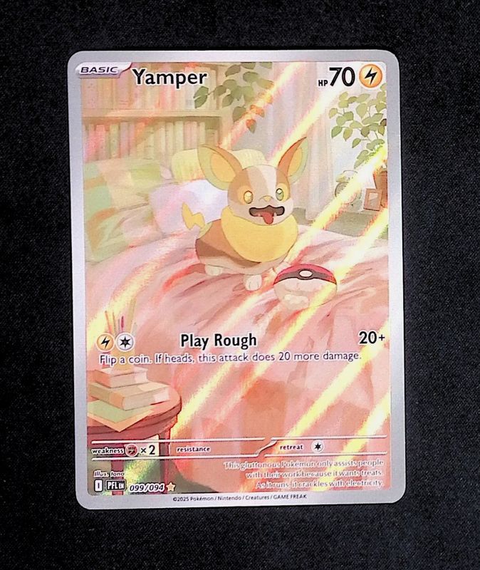 Yamper--099-094