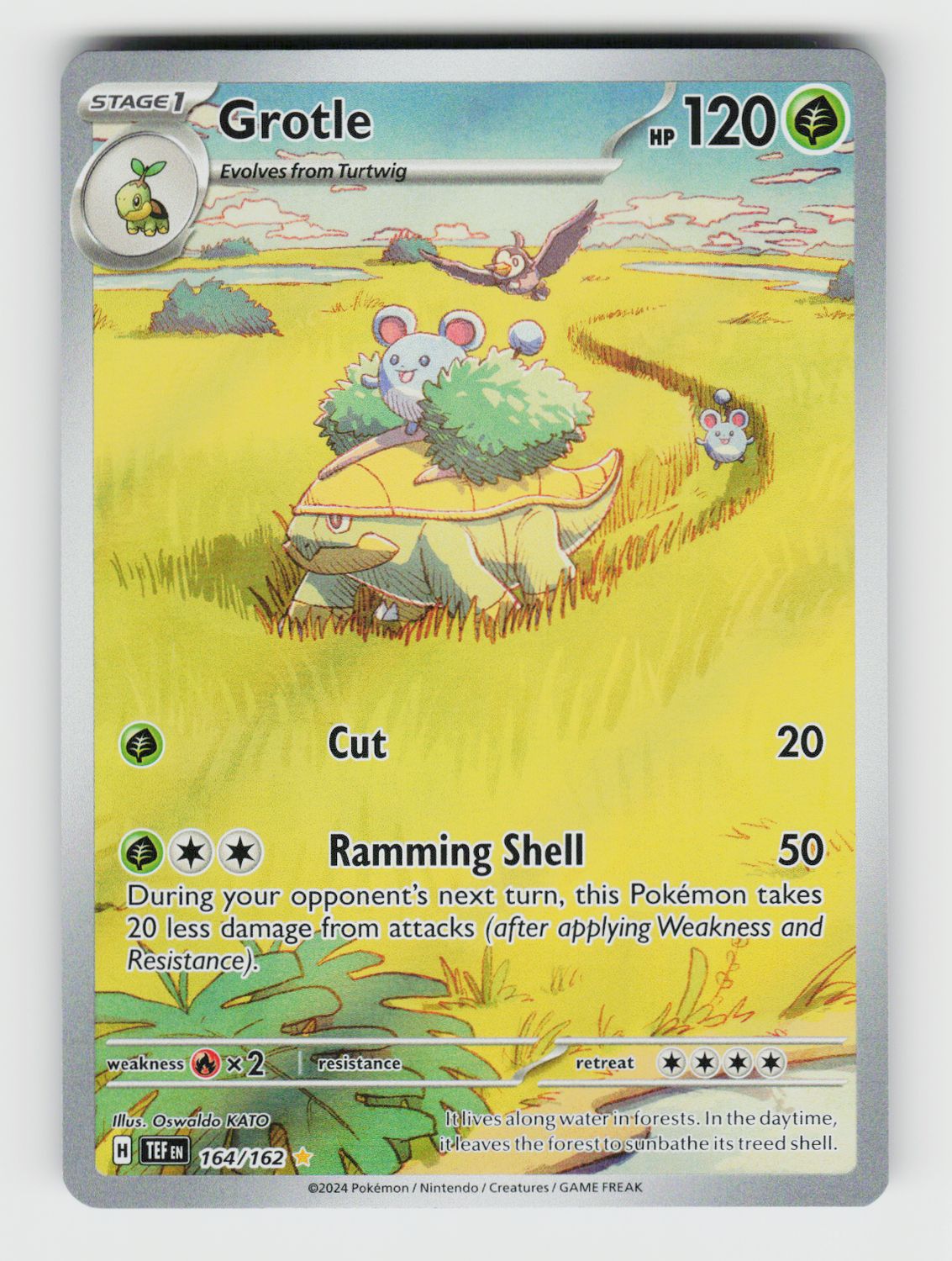 Grotle - 164/162