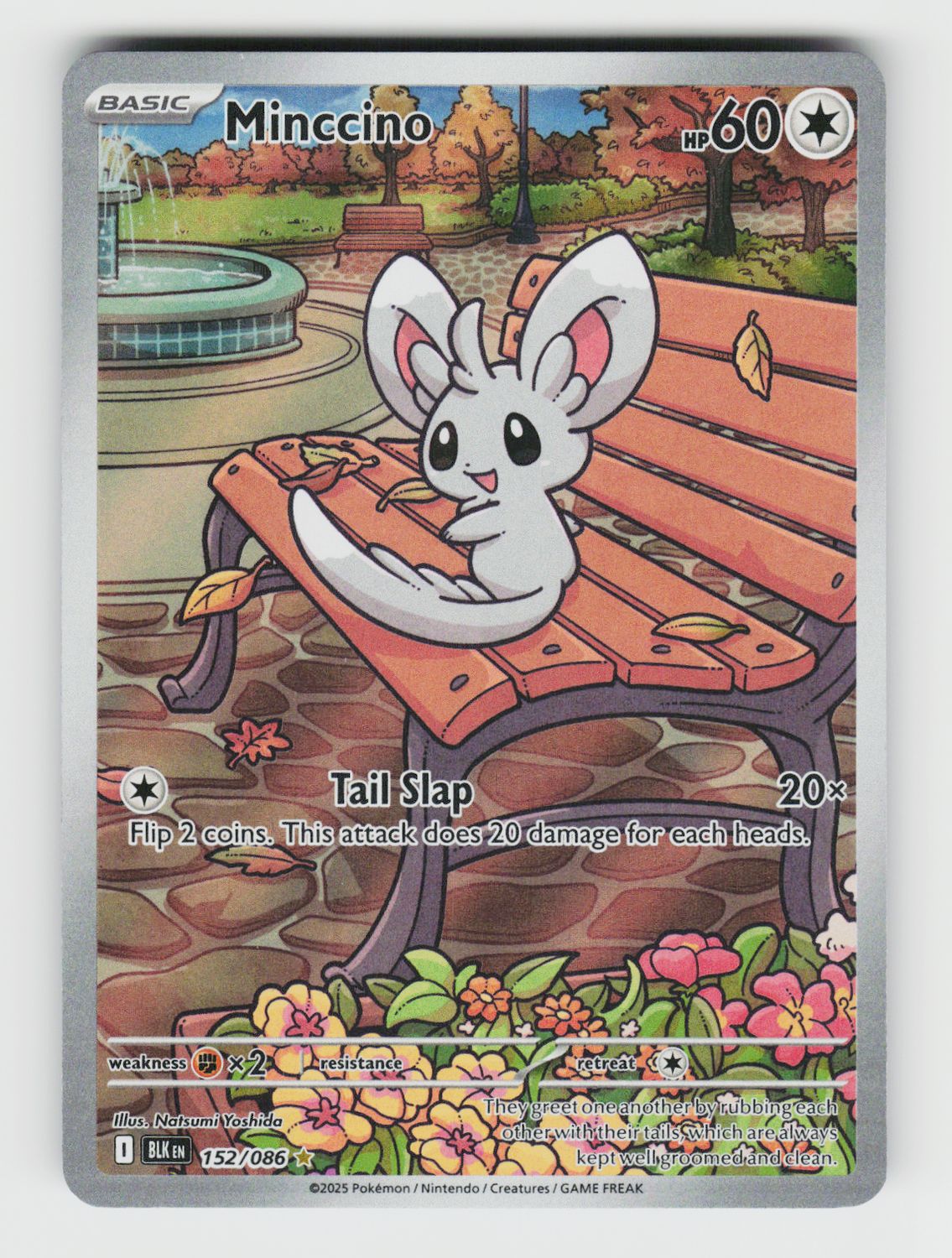Minccino - 152/086