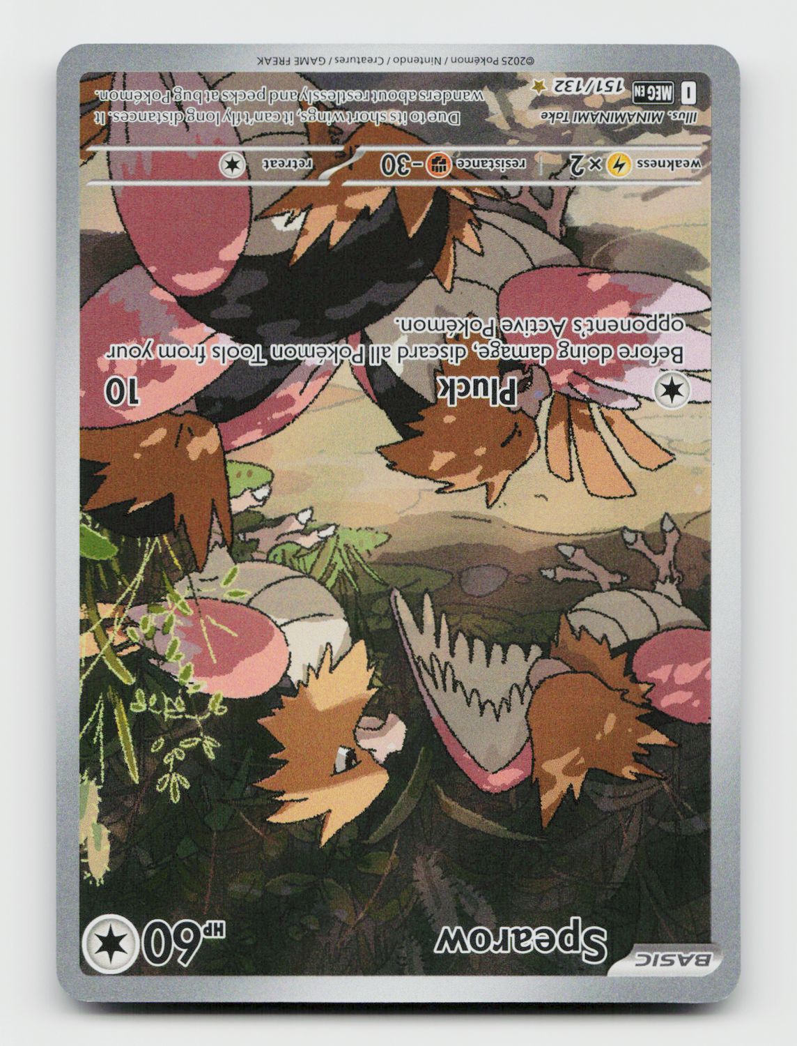 Spearow - 151/132 A