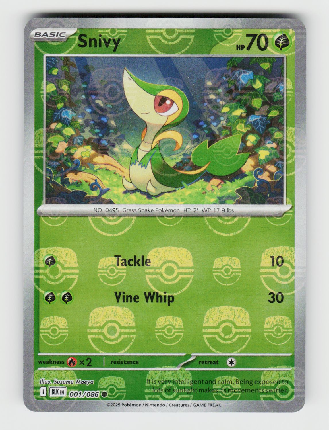 Snivy (Master Ball Pattern) - 001/086 A