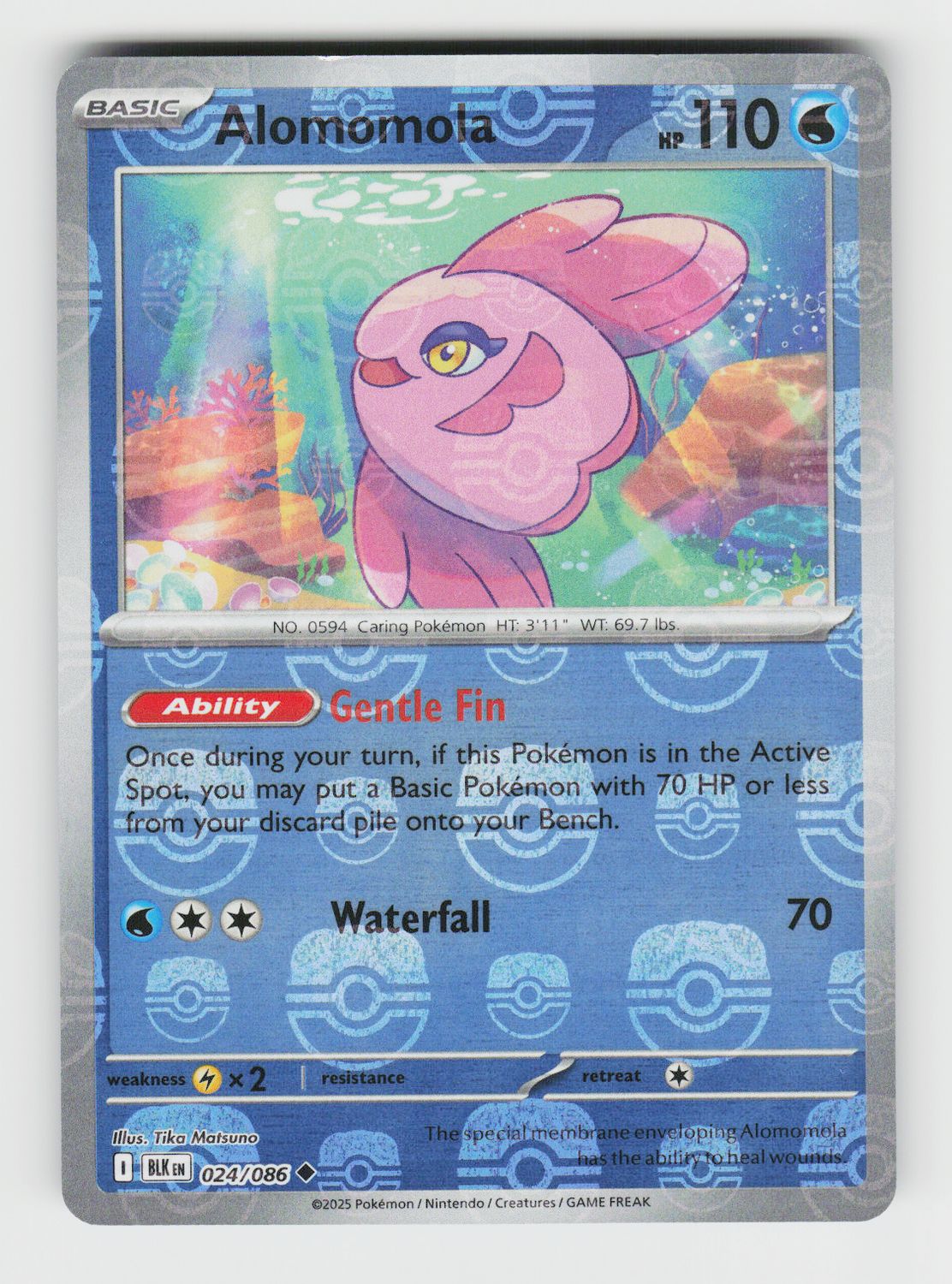 Alomomola (Master Ball Pattern) - 024/086 A