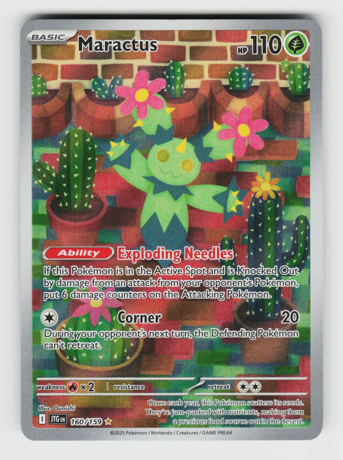 Maractus - 160/159 A