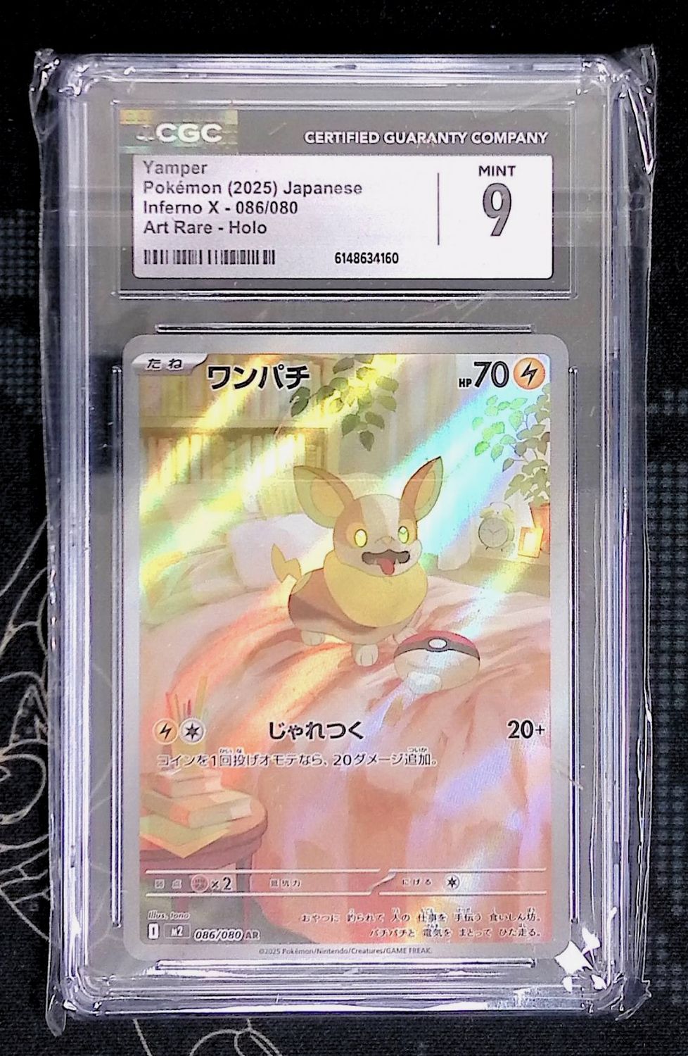 Yamper CGC 9 (JPN)