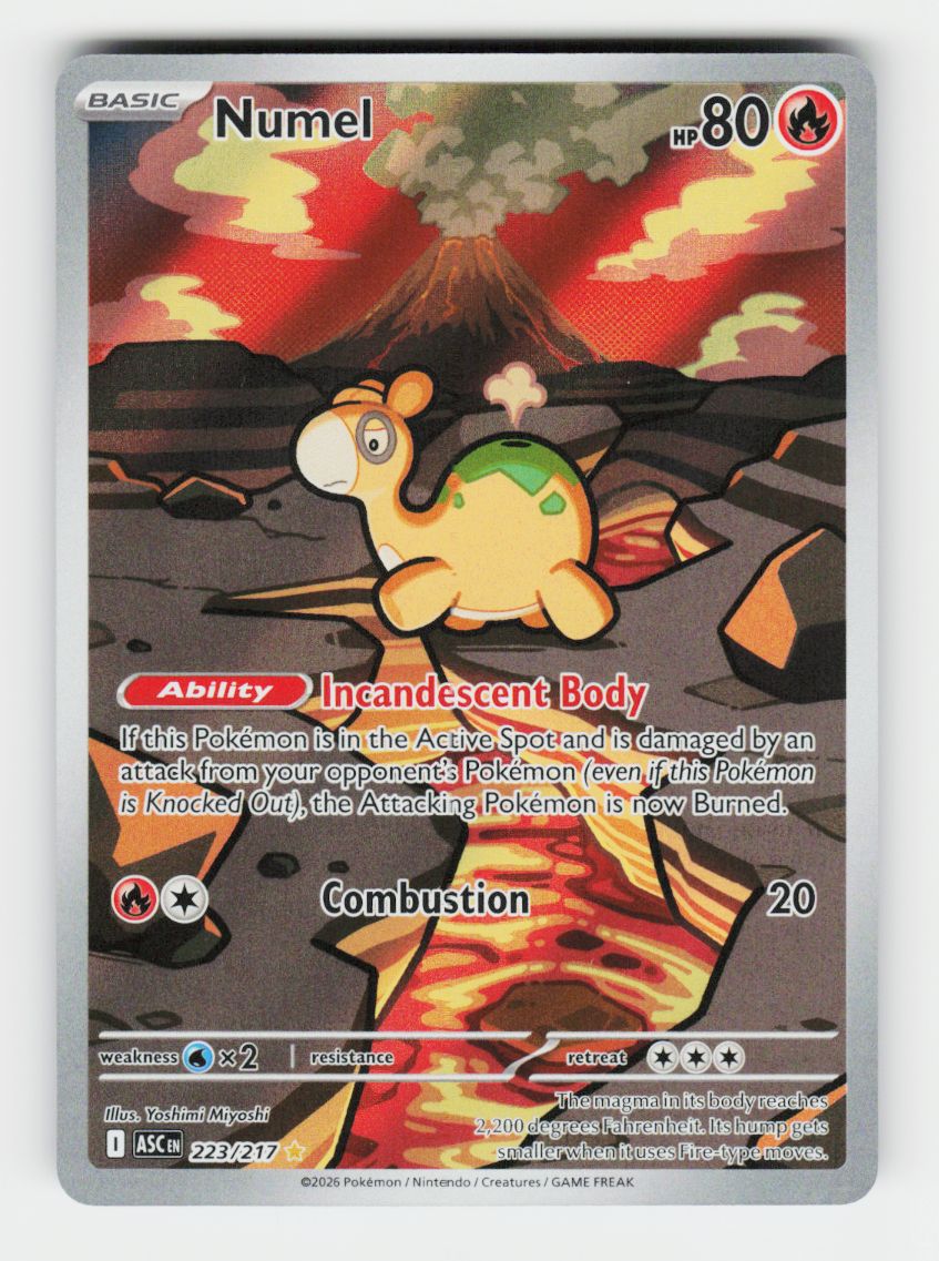 Numel - 223/217 - A