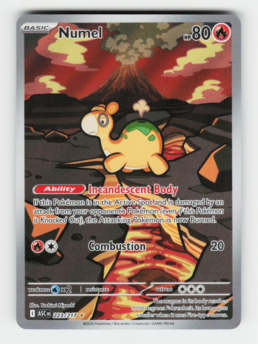 Numel - 223/217 - B