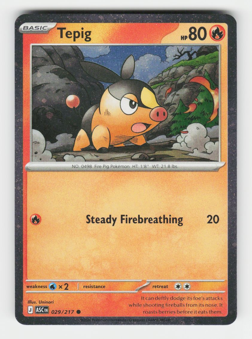 Tepig - 029/217 (Cosmos Holo) - 029/217 - D