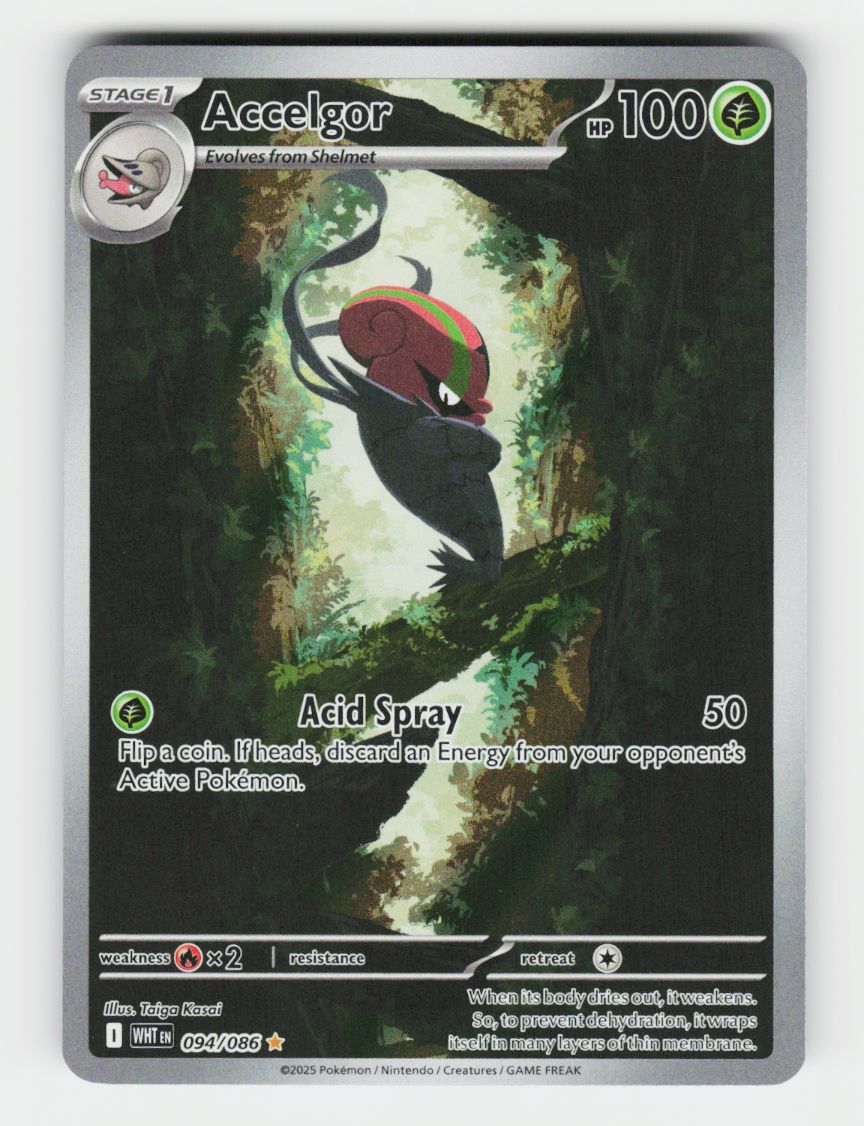 Accelgor - 094/086