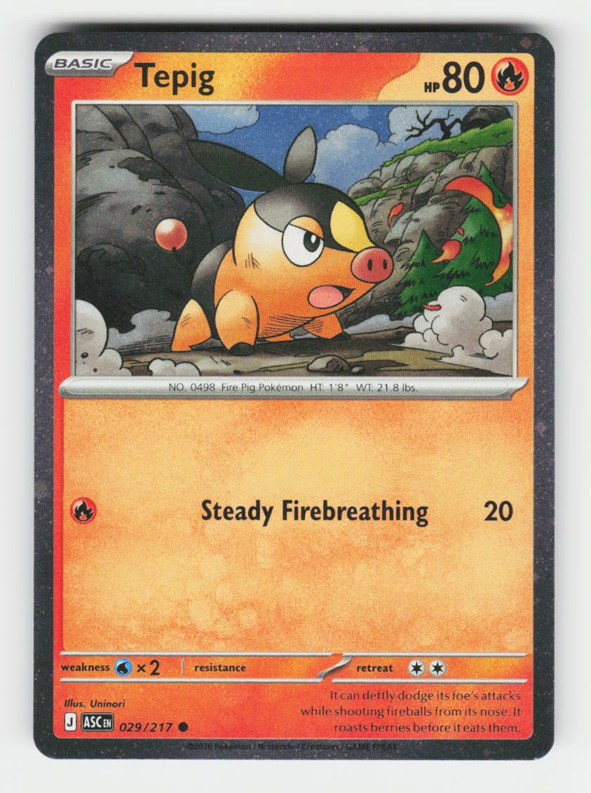 Tepig - 029/217 (Cosmos Holo) - 029/217 - E