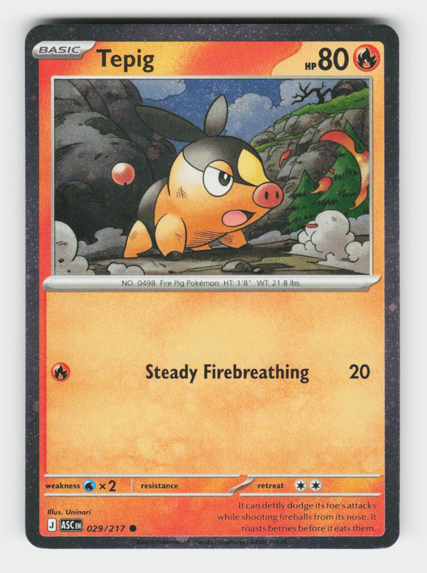 Tepig - 029/217 (Cosmos Holo) - 029/217 - G
