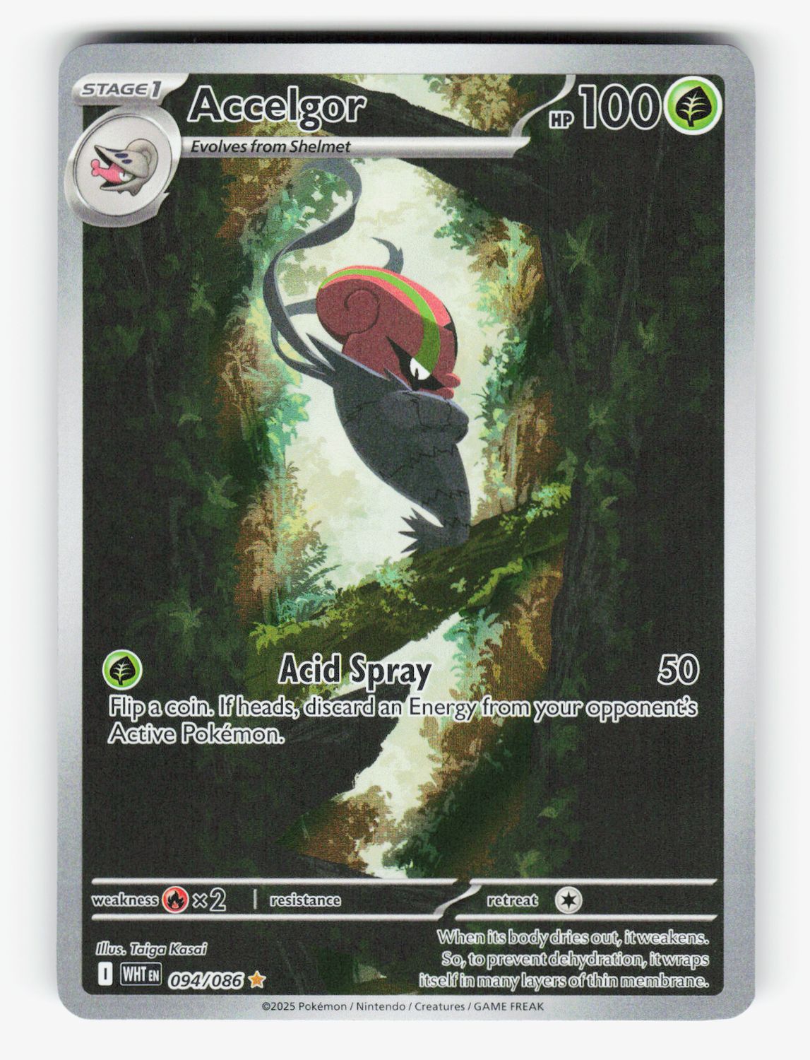 Accelgor - 094/086 - B