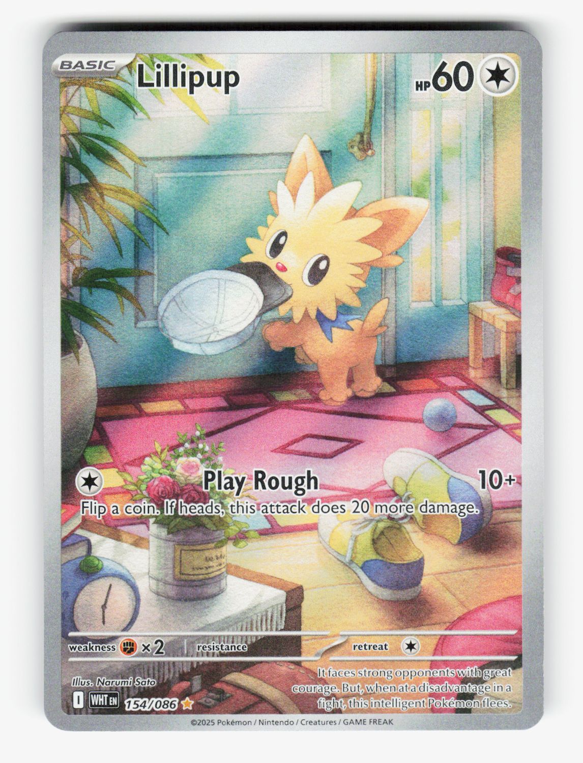 Lillipup - 154/086