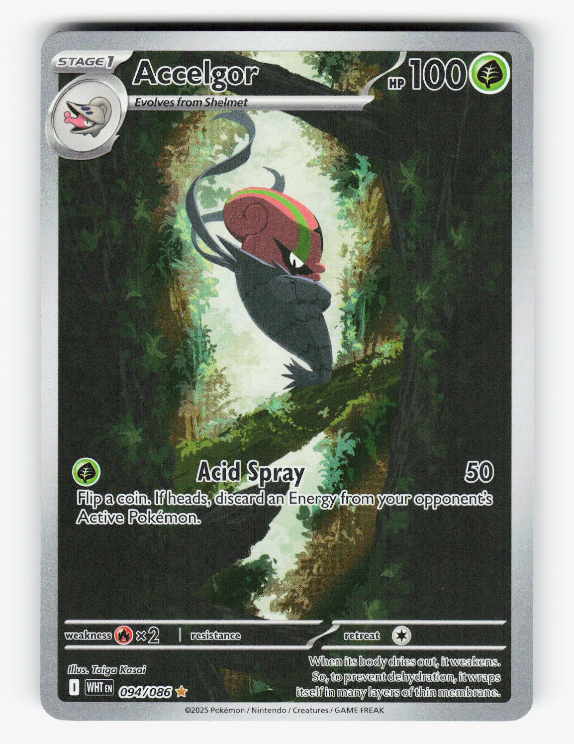 Accelgor - 094/086 - A