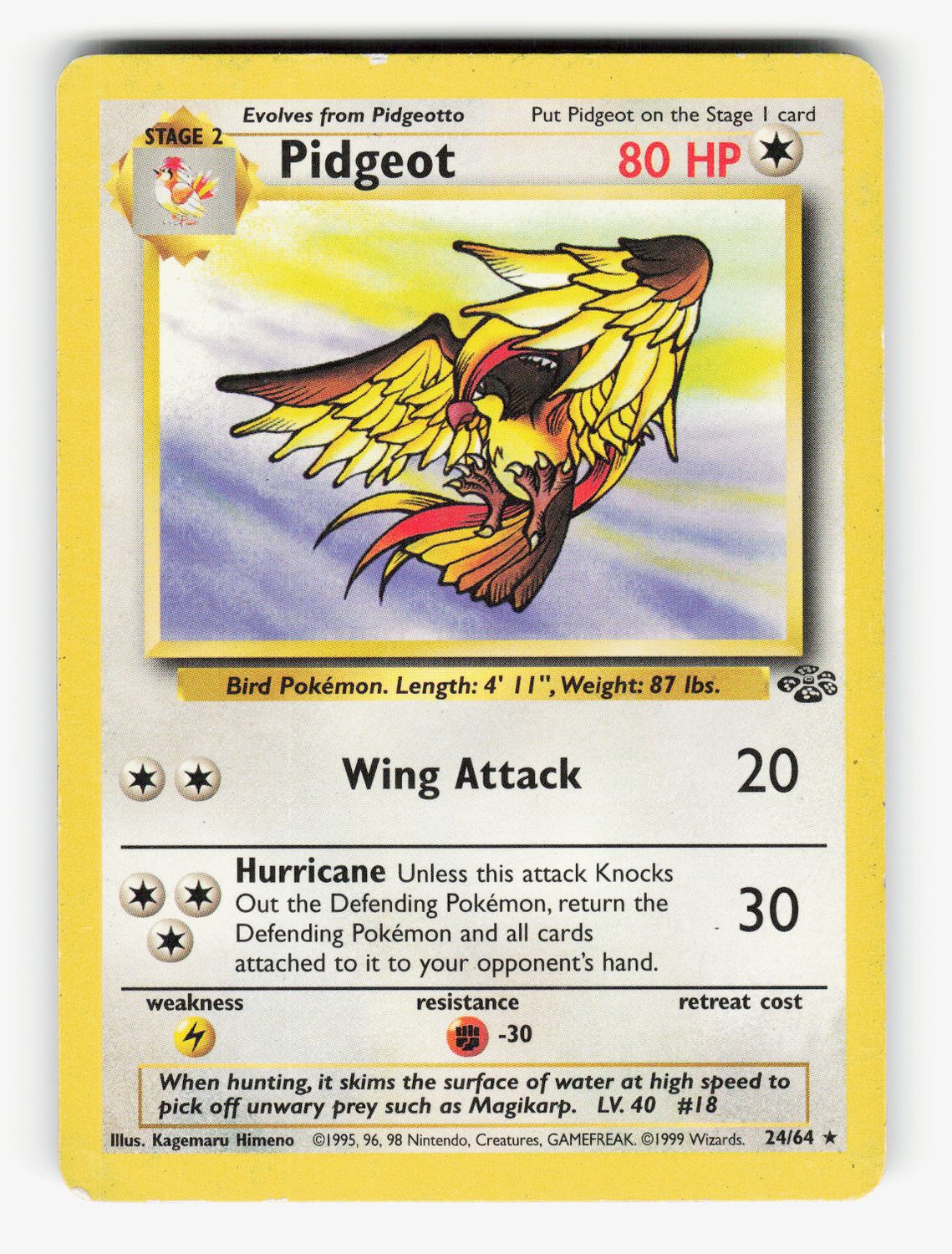 Pidgeot (24) - Unlimited Normal - 24/64